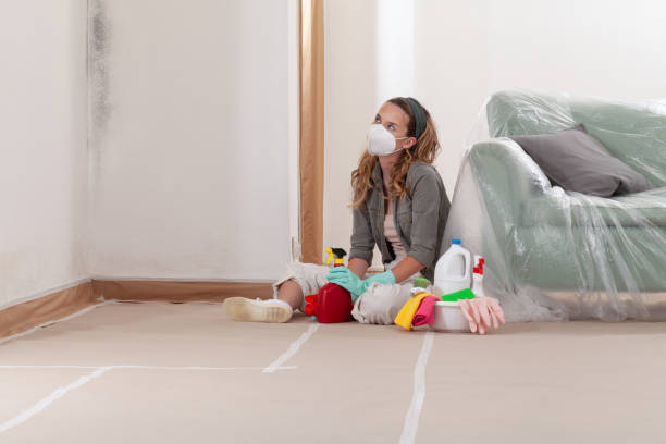 Reliable Mold Remediation contractor in Miami, AZ by WQB Mold Removal